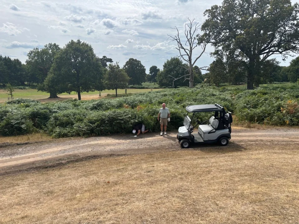 Logic - Forest of Arden event photo
